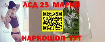 стаф Владимир